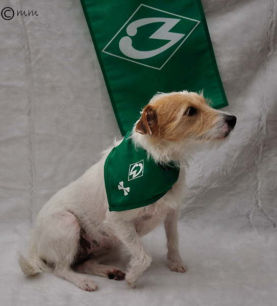 Scully und Werder 1